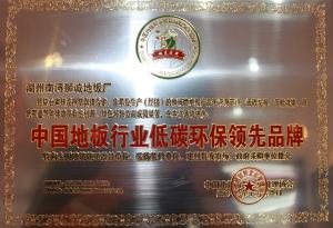 中国地板行业地台环保领先品牌 
