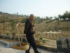 郎氏中草药基地