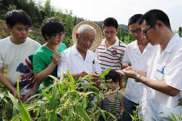 郎医师查看中药基地