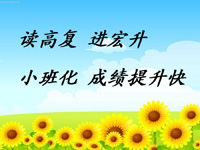 漂浮广告