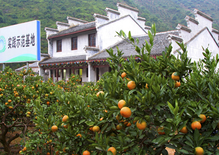 浙江大学干部培训教学研究之临海柑桔