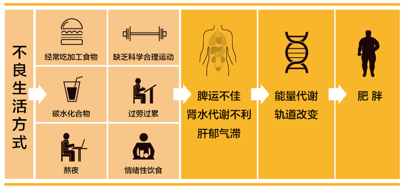 导致单纯性肥胖的最主要原因是不健康的膳食习惯和不良生活方式.