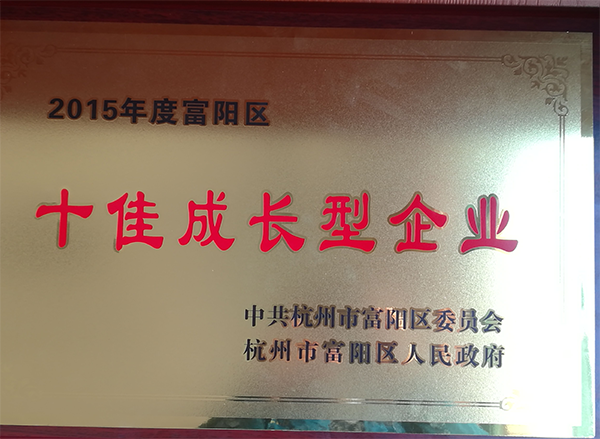 2015年度富阳区十佳成长型企业