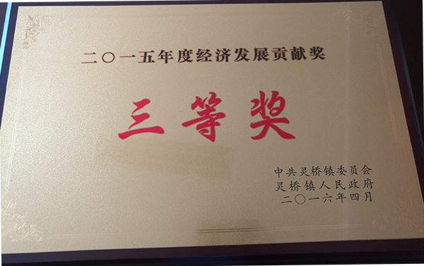 2015年度灵桥镇经济发展贡献三等奖