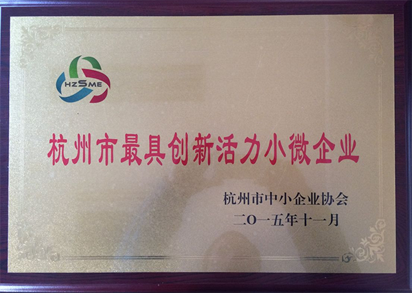 杭州市最具创新活动小微企业