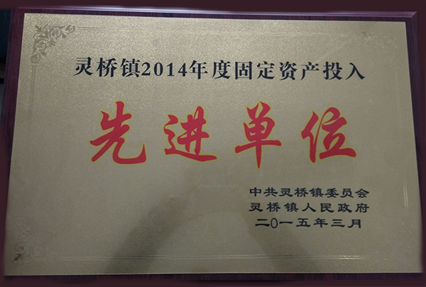 灵桥镇2014年度固定资产投入先进单位