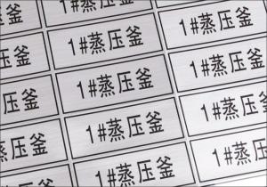 电器标签 亚银标贴