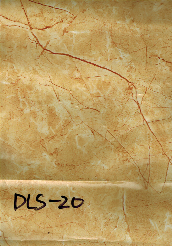 DLS-20