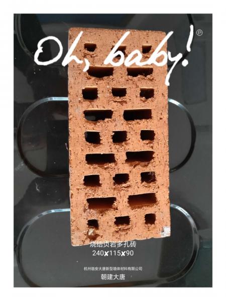 烧结页岩多孔砖