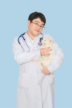 李嵩(副院长)