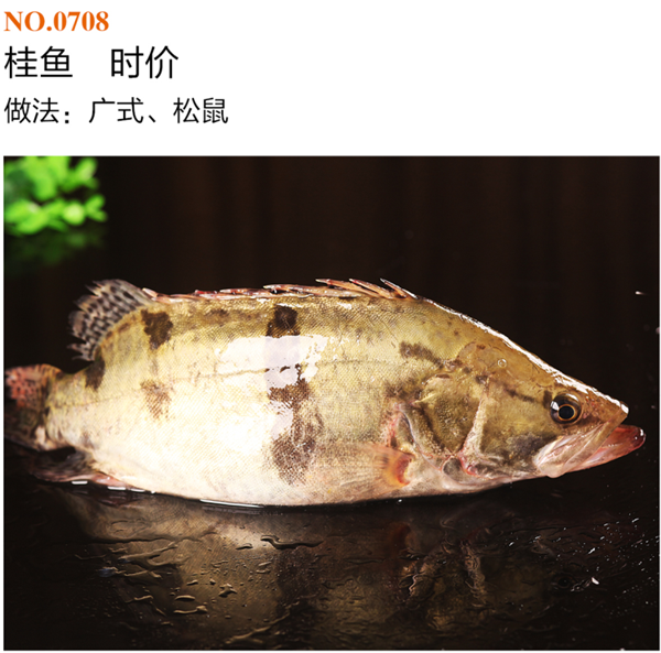 海河鲜类5