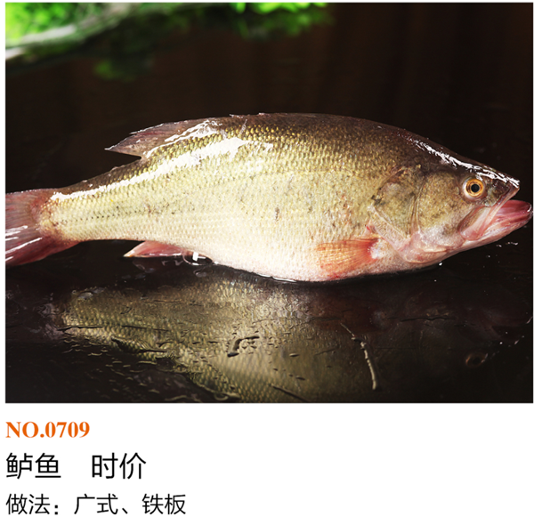 海河鲜类4