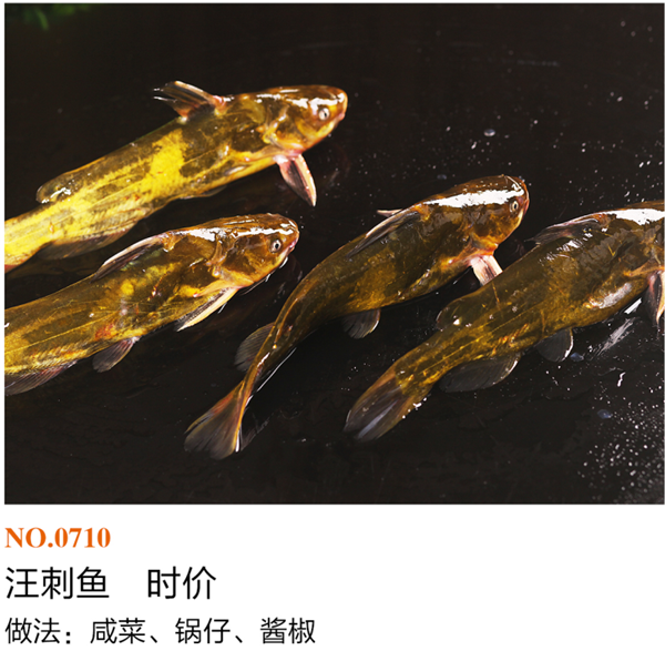 海河鲜类3
