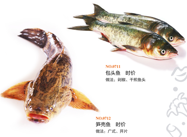 海河鲜类2
