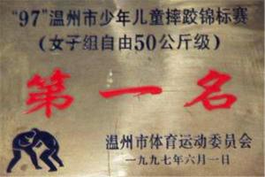 学校荣誉 (16)