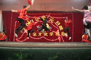 武术文艺 (6)