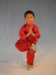 武林雄风 (2)