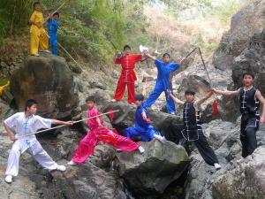 武林雄风 (4)
