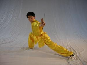 武林雄风 (7)