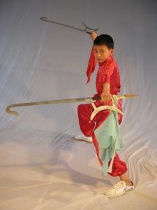 武林雄风 (10)