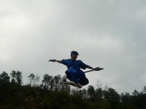 武林雄风 (14)