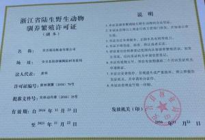 资质证书9