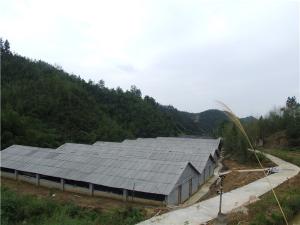 公司环境4