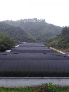 公司环境8