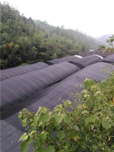 公司环境10