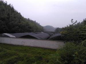 公司环境12