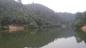 公司环境13