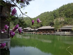 DSC00374