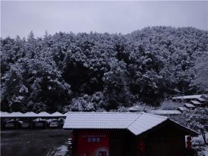 DSC00714