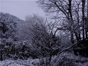 DSC00717