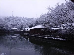 DSC00718