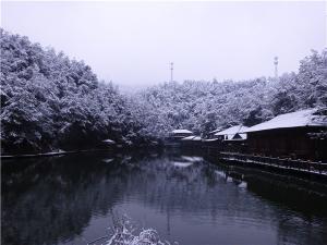 DSC00719