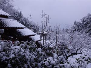 DSC00722