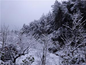 DSC00723