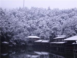 DSC00725