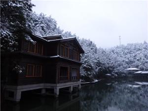 DSC00726