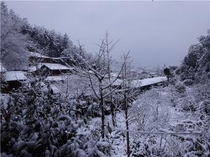 DSC00727