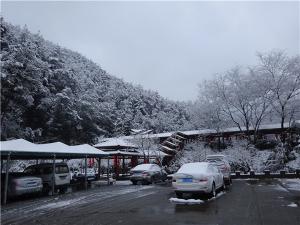 DSC00736