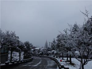 DSC00737