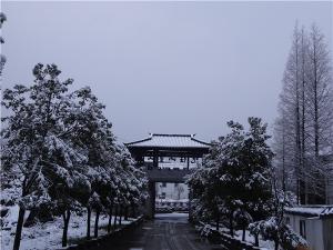 DSC00739
