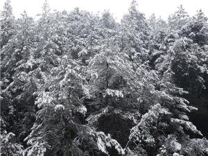 DSC00740