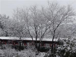 DSC00743