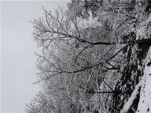 DSC00751