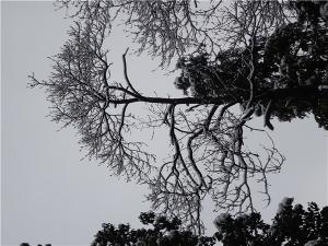 DSC00753