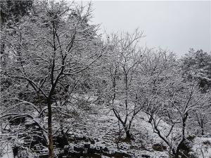 DSC00756
