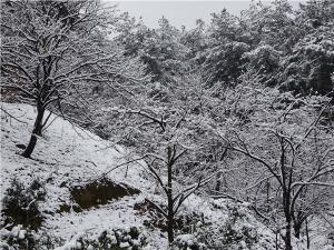 DSC00758